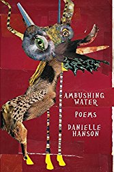 Book cover - Ambushing Water