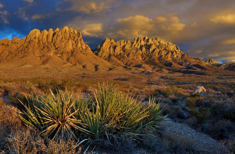 Organ Mountains Desert Peaks, New Mexico. Photo by Lisa Phillips, Bureau of Land Management, Las Cruces District Rangeland Management via Wikimedia